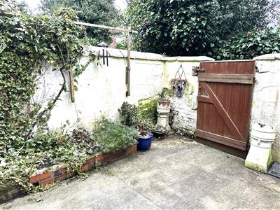 Picture 21